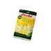 Papatya Eldiven